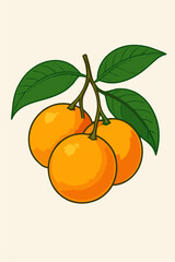 orange fruit vector