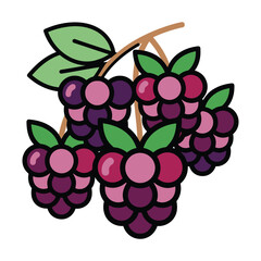 a minimalist modern vector icon of a mulberry branch, using dark purple, violet red, and soft green hues, isolated on a solid white background.