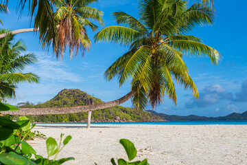 Lush green palm trees swaying gently on a tropical beach with white sand and turquoise waters under a bright tropical sky