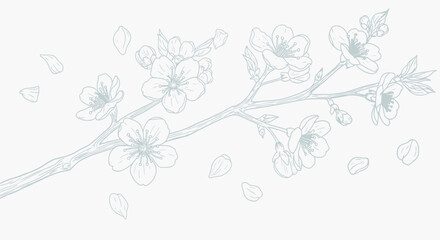 Elegant cherry blossom branch design, perfect for spring promotions or delicate invitations, adding a touch of natural beauty and serene elegance to your project