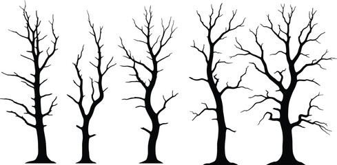 PrintTree silhouette illustration, leafless tree vector, branching pattern icon, winter forest design, ecology graphic, nature outline art, botanical shape, growth stage