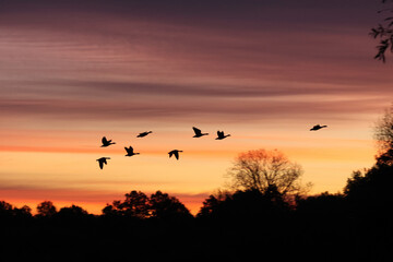 sunset over the lake