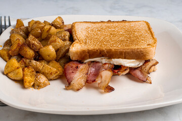 fried egg and bacon  melt sandwich