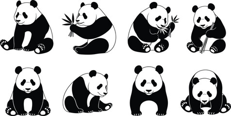 Cartoon panda vector set, cute animal poses, bamboo eating illustrations, black and white bear, Asian wildlife theme, isolated on white background