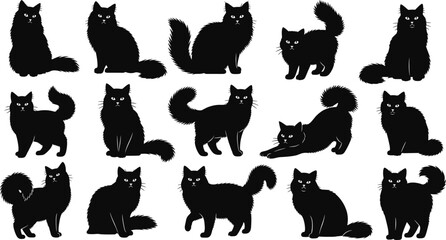 Cat silhouette vector set, black feline icons, sitting, walking, stretching poses, fluffy tail designs, isolated on white, animal illustration collection