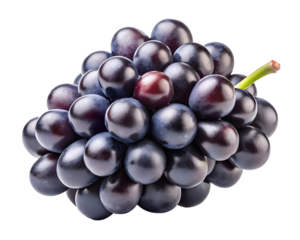 black grapes isolated on transparent white background full depth of field clipping path