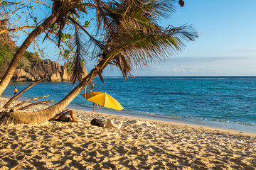 Idyllic tropical beach with silhouetted palm trees against a vibrant sunset over the Indian Ocean. Perfect for travel, relaxation, and paradise concepts. Golden hour glow