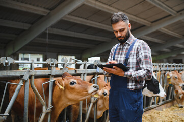 Farmer using digital tablet while monitoring cattle in dairy farm
