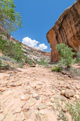 The Armstrong Canyon near Kachina Natural Bridge in Natural Bridges National Monument, Utah, USA