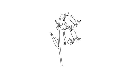 Simple line drawing of a bellflower with leaves  