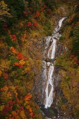 Autumn Foliage at Central Alps Senjojiki Cirque in Nagano, Japan - 日本 長野 千畳敷カール 秋の紅葉