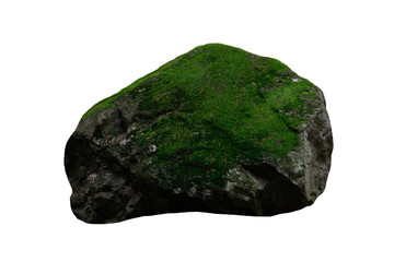 stone covered with green moss isolated on white background
