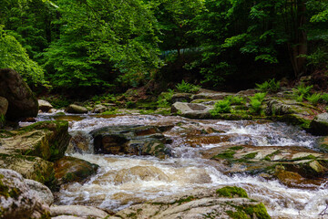 Wild mountain river. Cascading waterfall flows rapidly over mossy rocks forest landscape