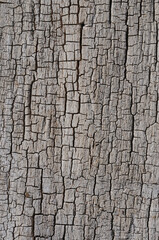 Old wood texture background. Floor surface with cracks and scratches. Dark edged.