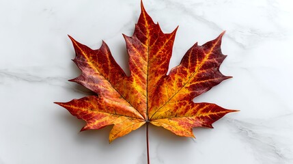 A vibrant, autumn-colored maple leaf displaying rich shades of orange and red on a soft marble background