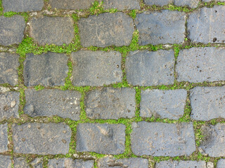Old stone road with green grass growing between the stones in San Cristobal de La Laguna, Tenerife, Canary Islands, Spain