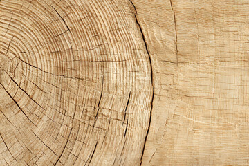 Naklejka premium wood texture background