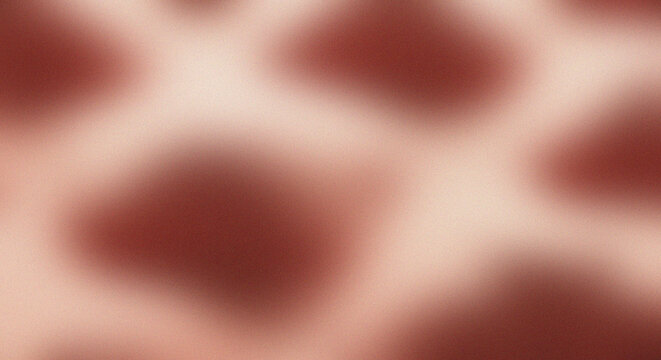 Close up of a giraffe s patterned skin texture in natural light