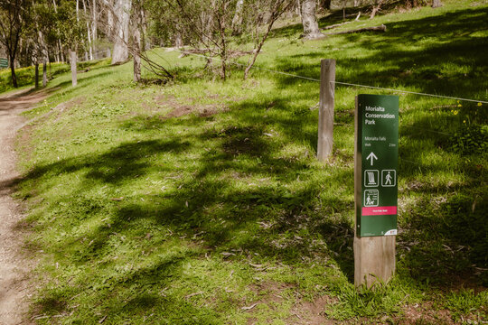Information sign, a green direction sign of the Morialta Falls walk next to a walking path outdoor at daytime during spring in Morialta Conservation Park near Adelaide in Australia.