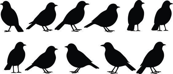Bird silhouette vector set, black bird icons, standing poses collection, side profile birds, wildlife clipart, cad drawing flat vector illustration
