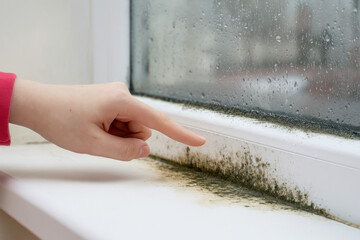 Pointing At Mold Growing On Window Sill