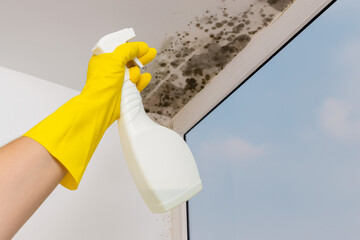 Removing Mold Stains From Wall With Spray Bottle