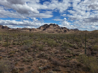 A cloudy desert sky