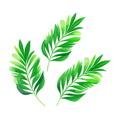 Jarra de cerveza de cristal con cerveza verde y un trébol grabado, símbolo típico de la fiesta de san patricio irlandesa, sobre superficie de madera y fondo verde con bokeh en movimiento See Less