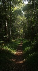 Fototapeta premium A tranquil scene deep within a verdant bushland, where silence reigns supreme amidst lush foliage and dappled sunlight, creating a serene natural haven ,escape ,green ,rest