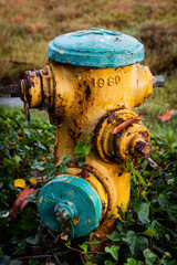 A weathered, yellow and turquoise fire hydrant outside a residential complex.