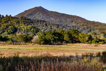 Mount Tamalpais, also known as Mt. Tam, a peak in Marin County, northern California.