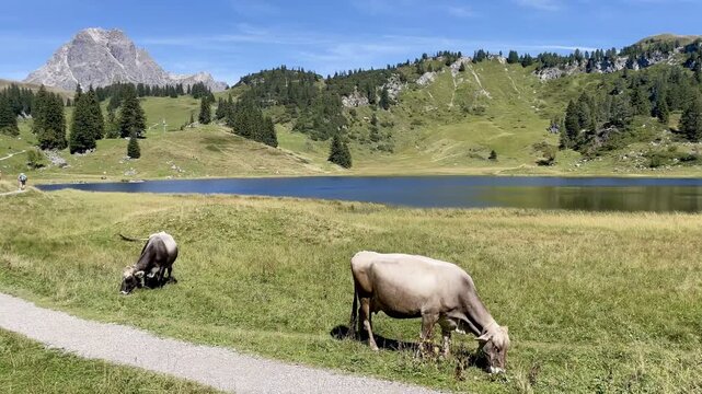 Panoramic view of K&ouml;rbersee and Widderstein, Arlberg, Austria.