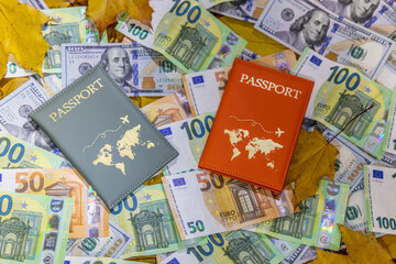 Passport Euro and Dollar money banknotes arranged together. Currency details and travel document representing tourism, finance, global travel expenses, international economy, cost worldwide journey