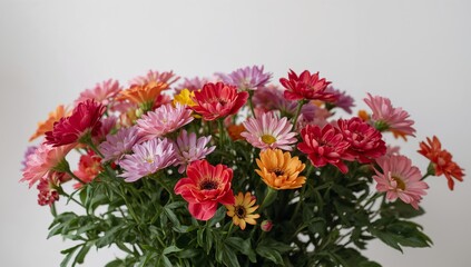 Floral Abstraction. A Symphony of Colors and Textures in a Botanical Arrangement.