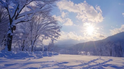 Obraz premium ミントグリーンに舞う雪の結晶の背景素材