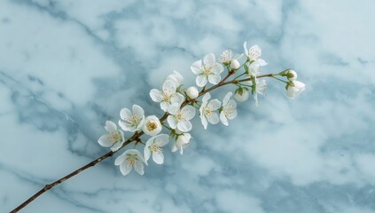Floral Arrangement on a Marbled Surface, Delicate Blossoms and Subtle Veins.
