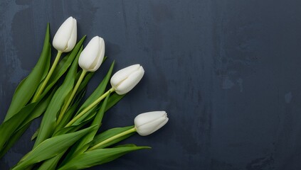 Floral Arrangement on Dark Backdrop, A Study in White and Green with Abstract Texture.