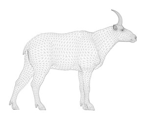A detailed wireframe mountain goat composed of geometric lines and shapes creates a realistic animal representation on a clean white background.