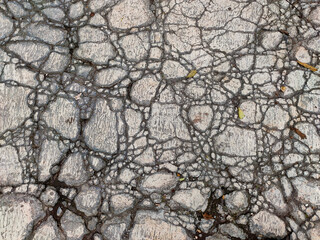 View of an concrete pavement filled with cracks, showcasing a complex and random patterns resembling a spider web or a map with irregular lines created by the natural process of wear over many years.