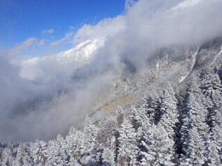新穂高ロープウェイ山頂駅付近の樹氷
