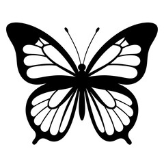 A symmetrical image of a butterfly, featuring black outlines and white-filled wing segments, set against a blank background