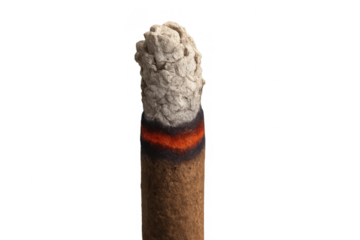 Lit cigar burning with glowing ember and white ash developing, showing smoking tobacco concept on transparent background
