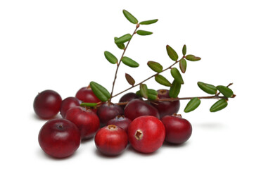 Ripe cranberries with leaves