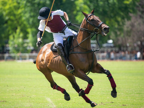 unrecognizable polo player on the field riding a horse during a match in Argentina