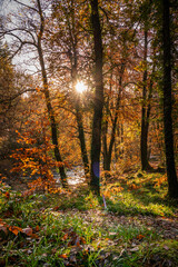 Autumn by the miners bridge north wales Uk
