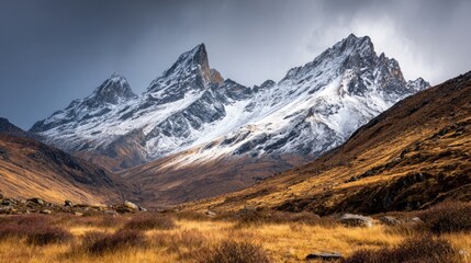 Snowy mountain peaks rise above a golden valley