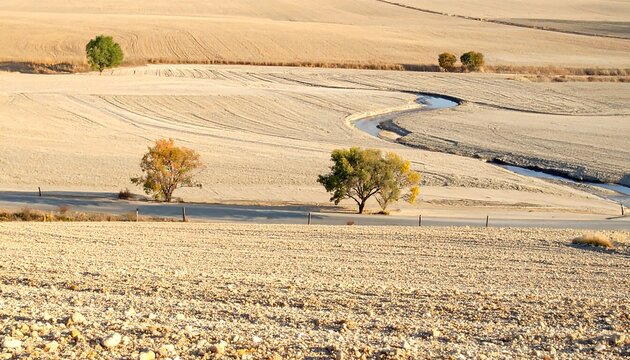 Dry, Golden, Rolling Hills, Winding Road, Countryside. - Powered by Adobe