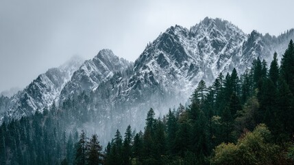 Snowy mountain range shrouded in mist. Lush forest at base