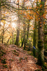 Autumn by the miners bridge north wales Uk