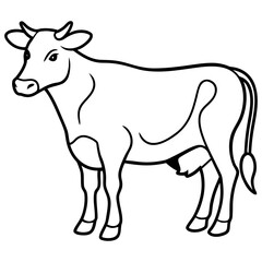 black and white cow